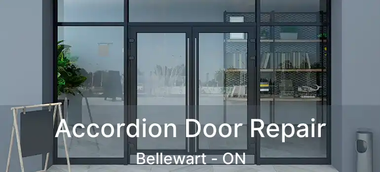  Accordion Door Repair Bellewart - ON