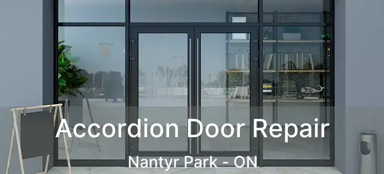  Accordion Door Repair Nantyr Park - ON