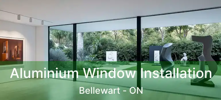  Aluminium Window Installation Bellewart - ON