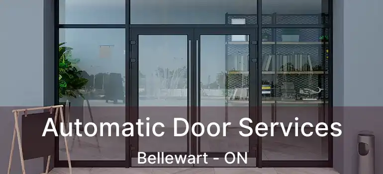  Automatic Door Services Bellewart - ON