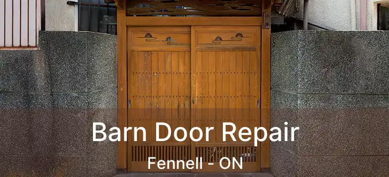  Barn Door Repair Fennell - ON