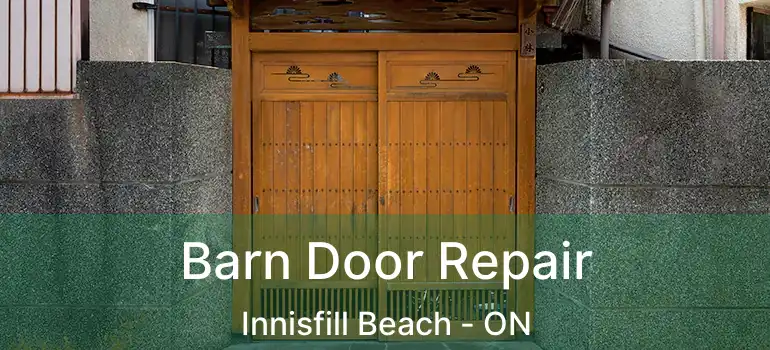  Barn Door Repair Innisfill Beach - ON