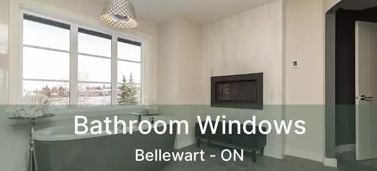  Bathroom Windows Bellewart - ON