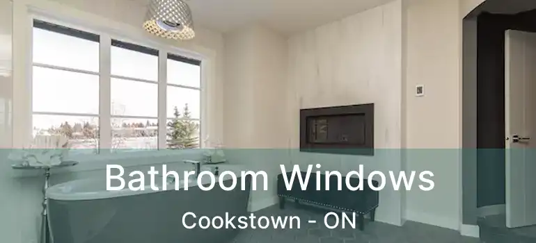  Bathroom Windows Cookstown - ON