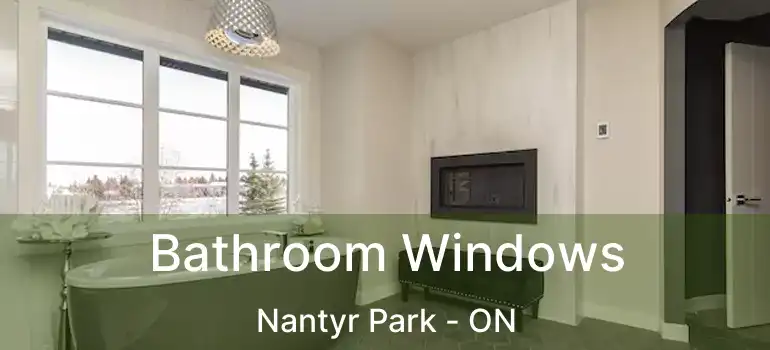  Bathroom Windows Nantyr Park - ON