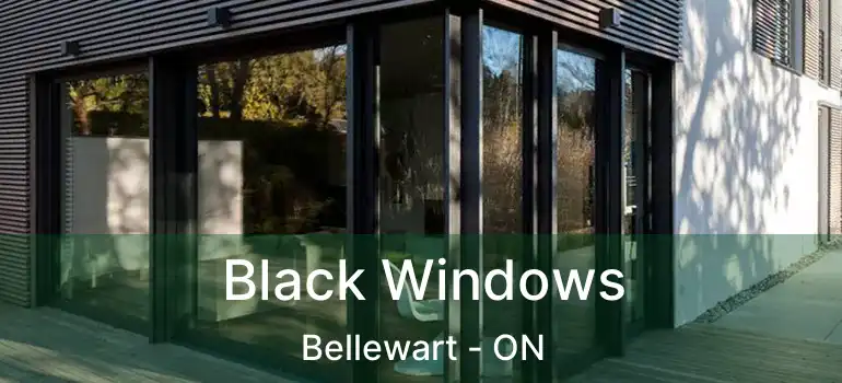  Black Windows Bellewart - ON
