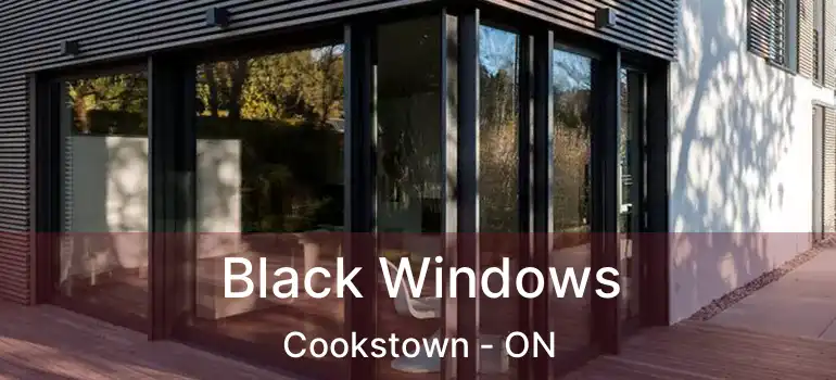  Black Windows Cookstown - ON