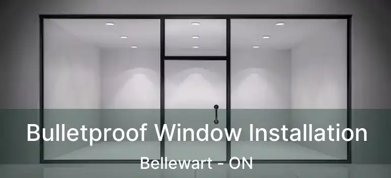  Bulletproof Window Installation Bellewart - ON