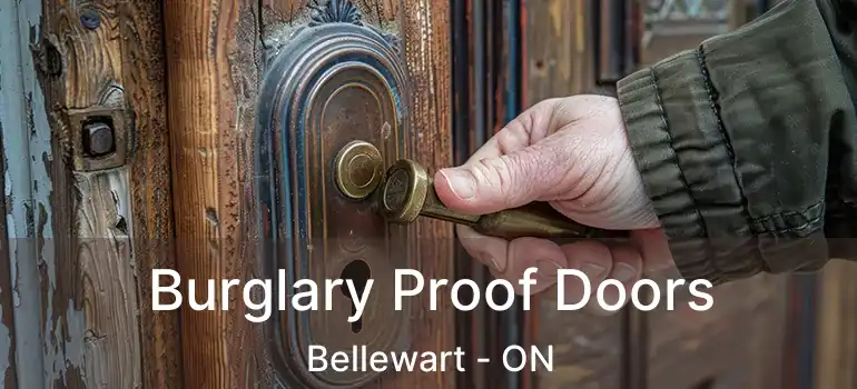  Burglary Proof Doors Bellewart - ON