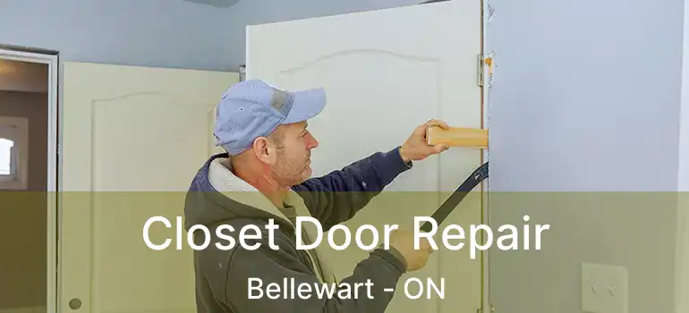  Closet Door Repair Bellewart - ON