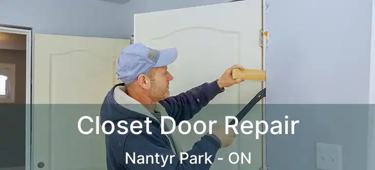  Closet Door Repair Nantyr Park - ON