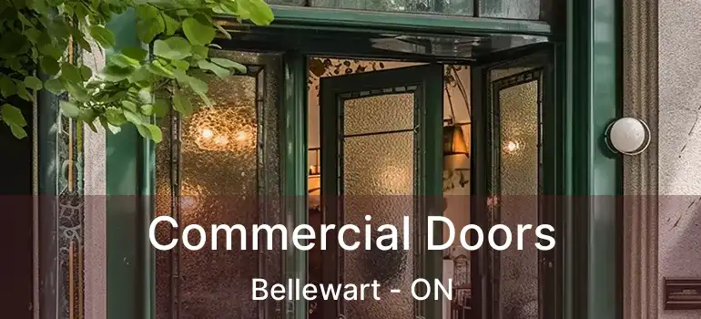  Commercial Doors Bellewart - ON