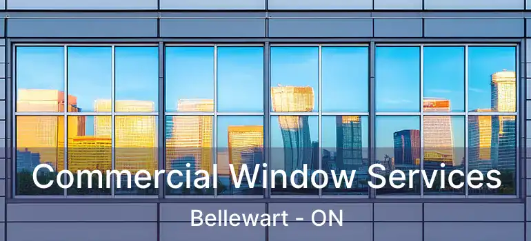  Commercial Window Services Bellewart - ON