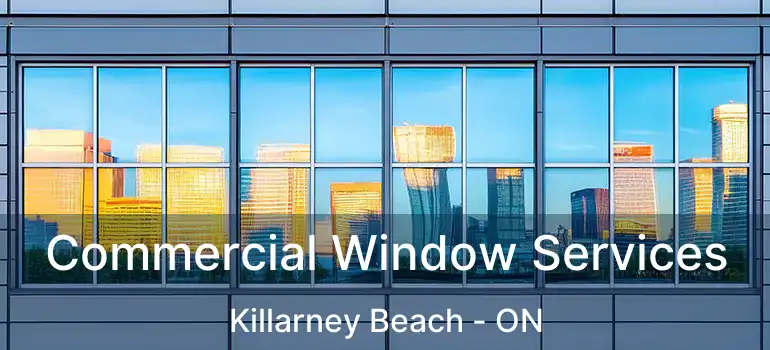  Commercial Window Services Killarney Beach - ON