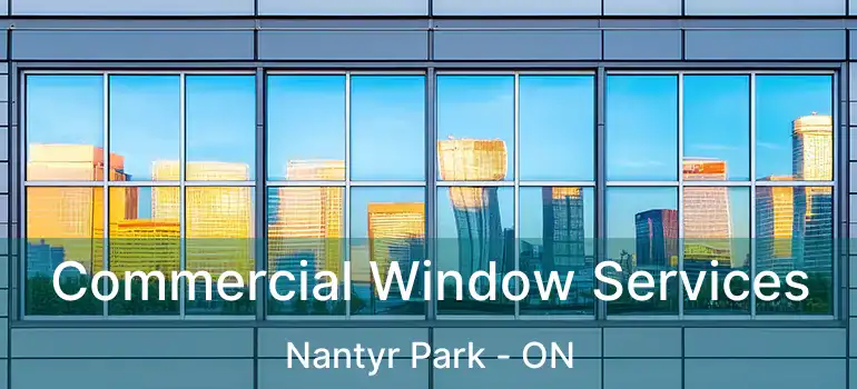  Commercial Window Services Nantyr Park - ON