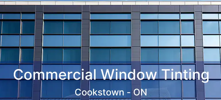  Commercial Window Tinting Cookstown - ON