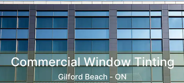  Commercial Window Tinting Gilford Beach - ON