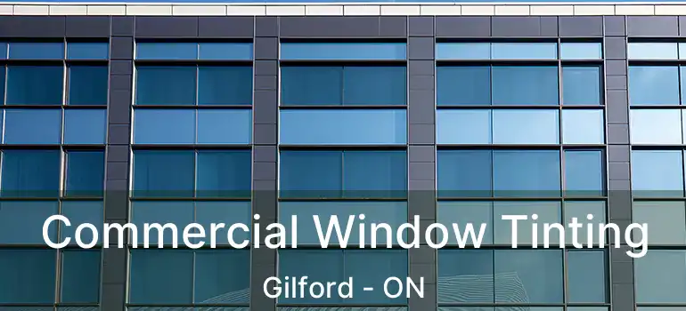  Commercial Window Tinting Gilford - ON