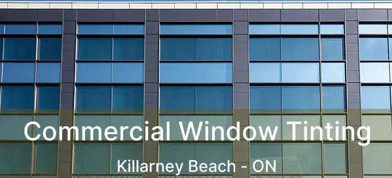  Commercial Window Tinting Killarney Beach - ON