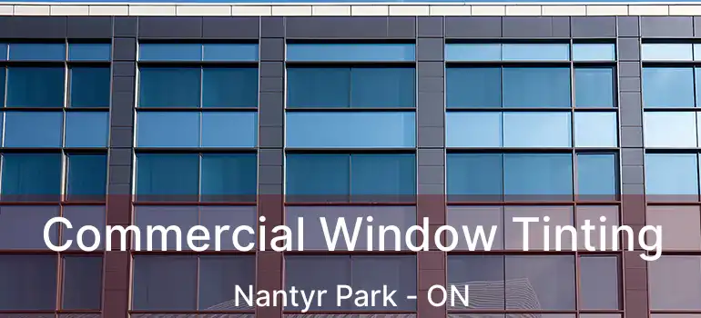  Commercial Window Tinting Nantyr Park - ON