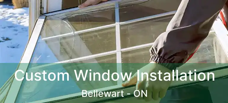  Custom Window Installation Bellewart - ON