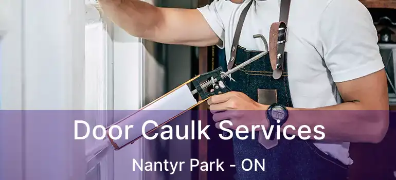  Door Caulk Services Nantyr Park - ON