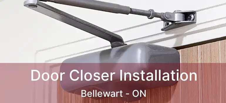  Door Closer Installation Bellewart - ON