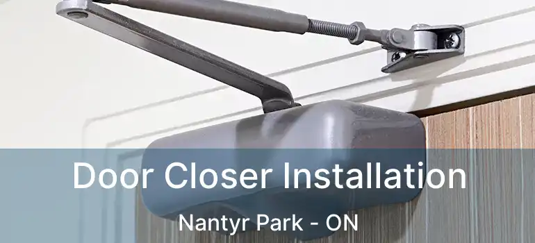  Door Closer Installation Nantyr Park - ON