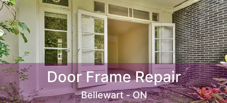  Door Frame Repair Bellewart - ON