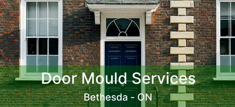  Door Mould Services Bethesda - ON
