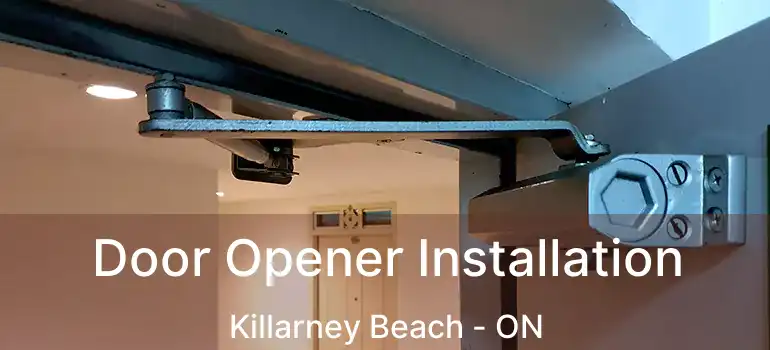  Door Opener Installation Killarney Beach - ON