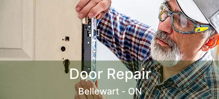  Door Repair Bellewart - ON