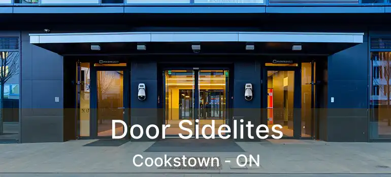  Door Sidelites Cookstown - ON