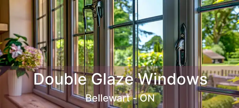  Double Glaze Windows Bellewart - ON