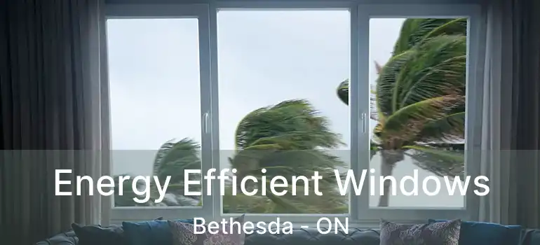  Energy Efficient Windows Bethesda - ON