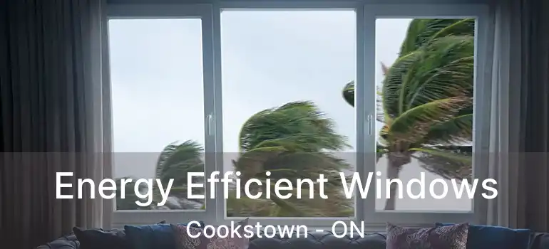  Energy Efficient Windows Cookstown - ON