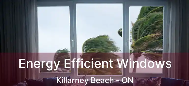  Energy Efficient Windows Killarney Beach - ON