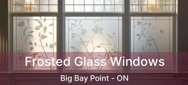  Frosted Glass Windows Big Bay Point - ON