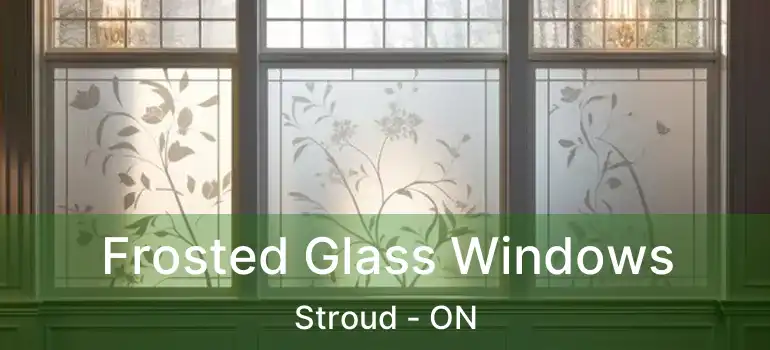  Frosted Glass Windows Stroud - ON