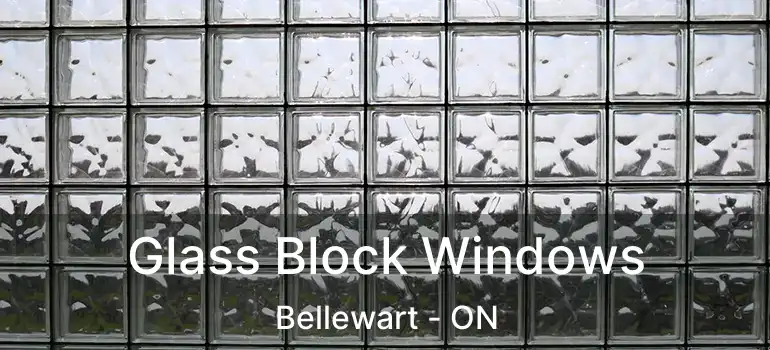  Glass Block Windows Bellewart - ON