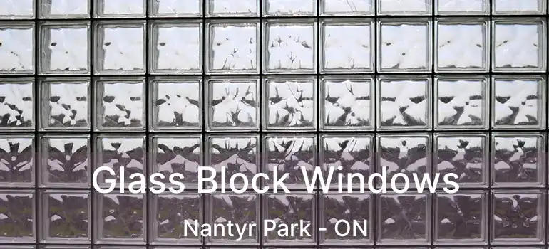  Glass Block Windows Nantyr Park - ON
