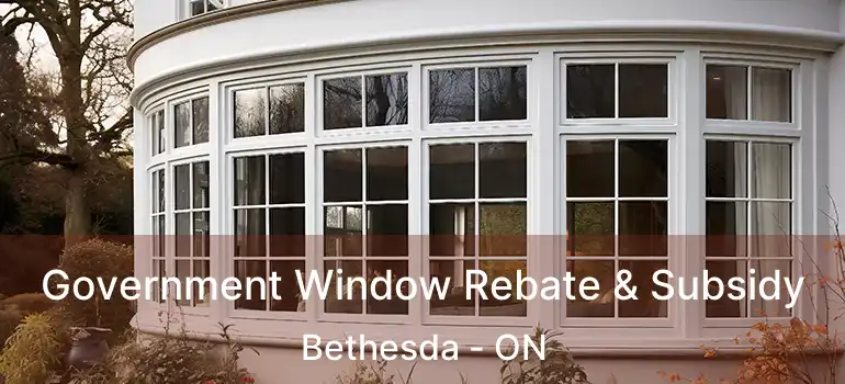  Government Window Rebate & Subsidy Bethesda - ON