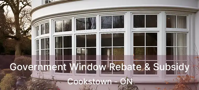 Government Window Rebate & Subsidy Cookstown - ON
