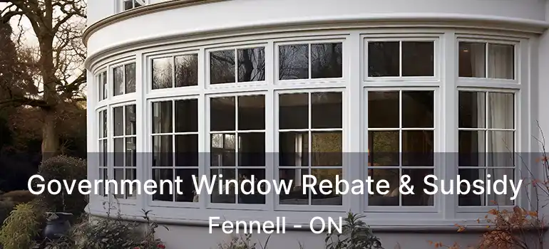  Government Window Rebate & Subsidy Fennell - ON
