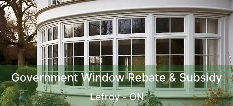  Government Window Rebate & Subsidy Lefroy - ON