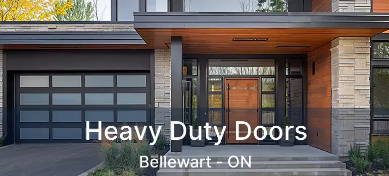  Heavy Duty Doors Bellewart - ON
