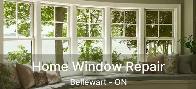  Home Window Repair Bellewart - ON
