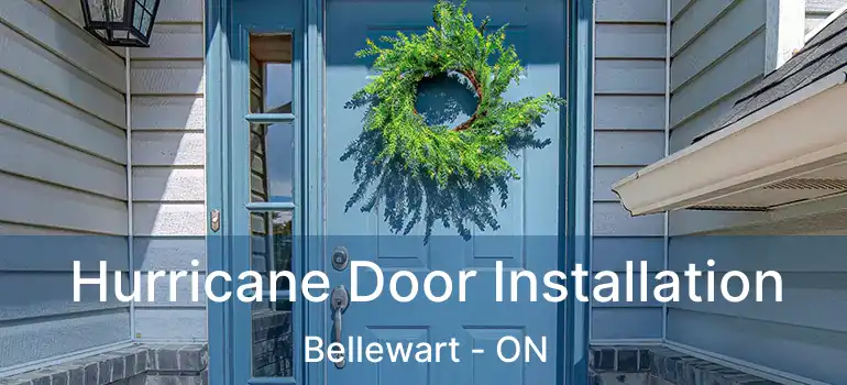  Hurricane Door Installation Bellewart - ON