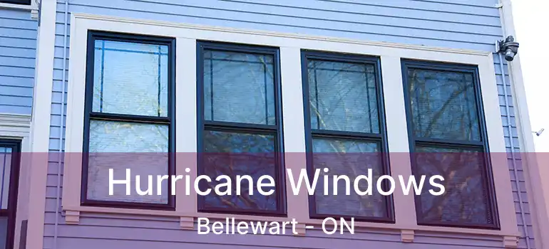  Hurricane Windows Bellewart - ON