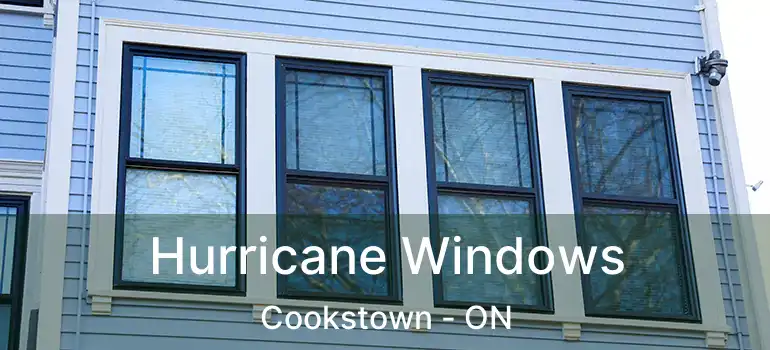  Hurricane Windows Cookstown - ON